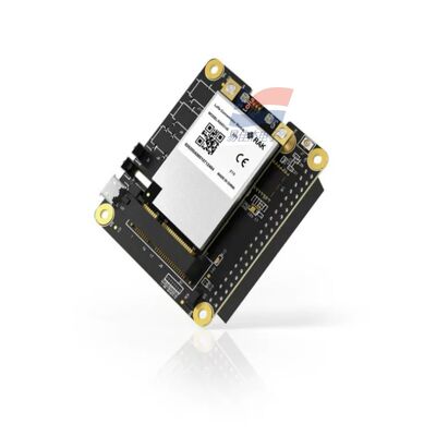 YJJ RAK5146 ماژول تمرکز PiHAT مناسب برای LoRaWAN برای جمع آوری داده های سنسور